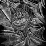 Henry the cat on fabric