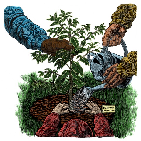 Finished Art for the 2018 Arbor Day Poster