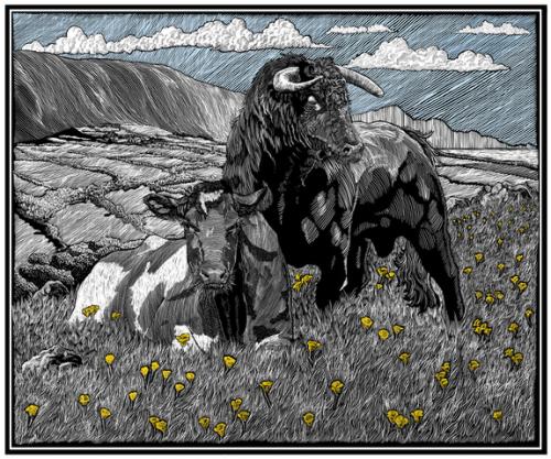 #4 cow