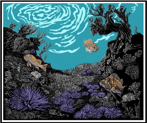 Sea Urchins