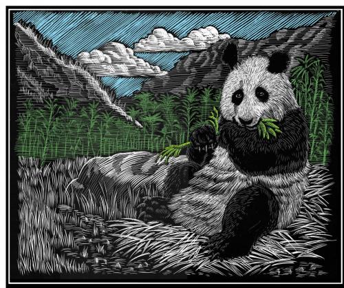 Panda