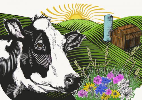 Cow Cheese label art