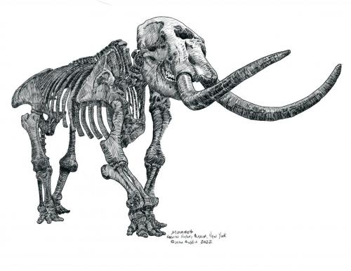 Wooly Mammoth