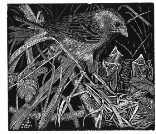 Bird with Young